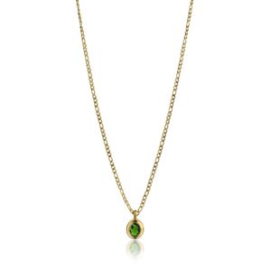 Emily Westwood Nadčasový pozlacený náhrdelník se zirkonem Laila EWN23090G